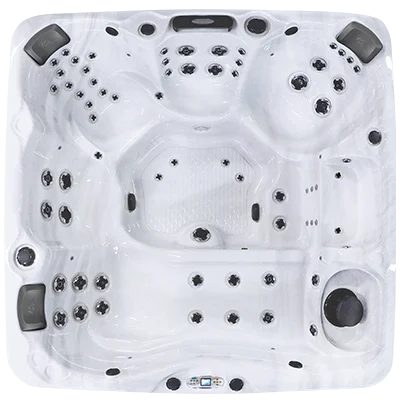 Avalon EC-867L hot tubs for sale in Jackson