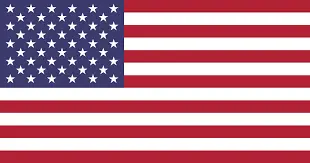 american flag-Jackson